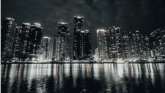 色欲后宫 - 城市之光：霓虹背后的人间烟火
